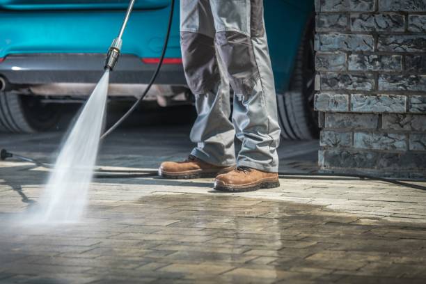 Best Driveway Cleaning and Restoration in Stockton, IL